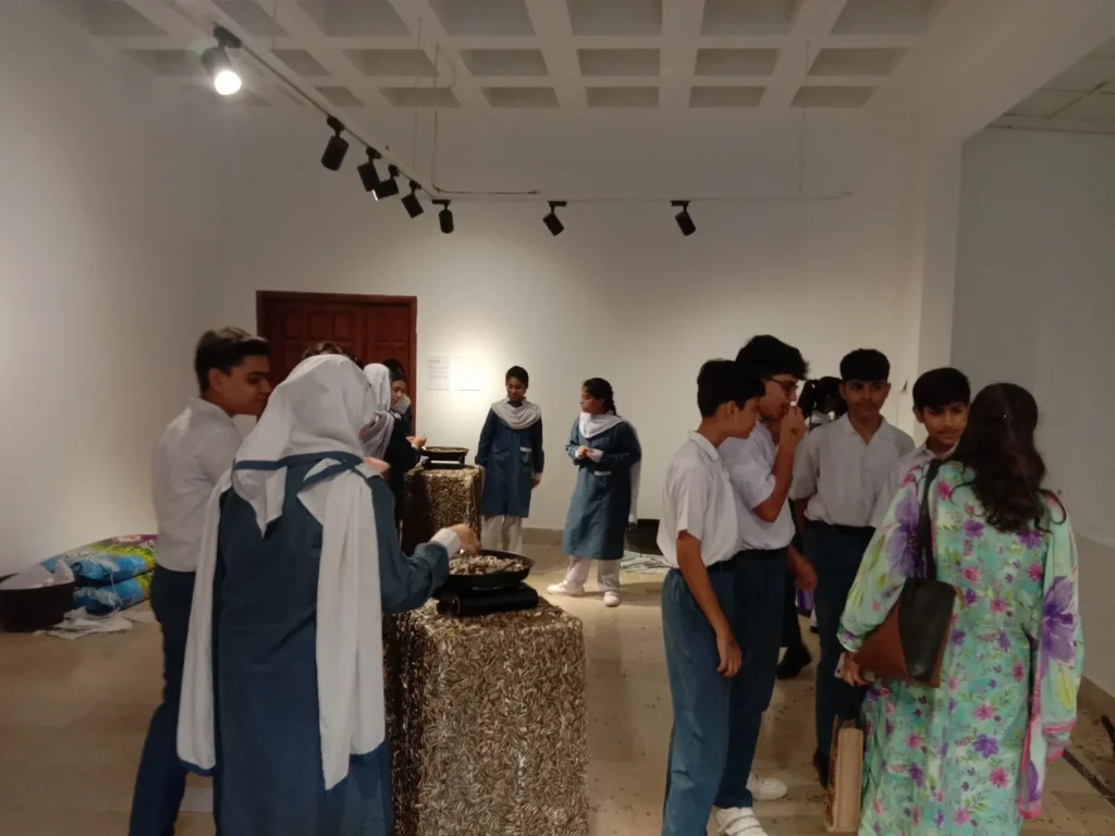 Edu prog 3