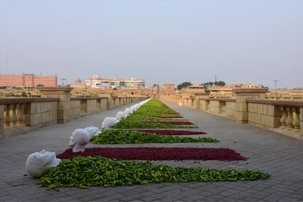 Karachi Biennale 2017 Highlight